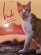 Kedi - Des chats et des hommes