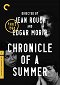 Chronicle of a Summer