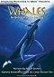 Whales: An Unforgettable Journey