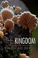 Im Königreich der Pilze