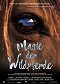 Magic of the Wild Horses