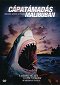 Mega Shark of Malibu