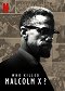 Ki ölte meg Malcolm X-et?