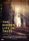 The Hidden Life of Trees