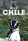 Wild Chile
