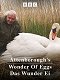 A természeti világ - Attenborough, és a tojás csodája