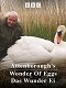 The Natural World - Attenborough's Wonder of Eggs