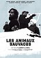 Les Animaux Sauvages