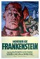 Frankenstein: Děs a hrůza