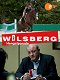Wilsberg - Hengstparade