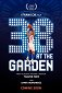 38 at the Garden – Jeremy Lin felemelkedése