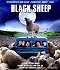 Black Sheep