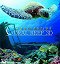 Coral Reef 3D – Misterious World Underwater