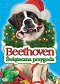 Beethovens abenteuerliche Weihnachten