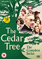 The Cedar Tree