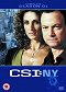 CSI: Kryminalne zagadki Nowego Jorku - Season 1