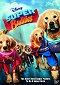 Super Buddies - As Argolas Mágicas