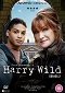 Harry Wild - Season 2