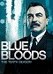 Blue Bloods (Familia de policías) - Season 10