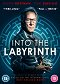 Into the Labyrinth