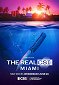 The Real CSI: Miami