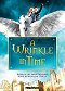 A Wrinkle in Time