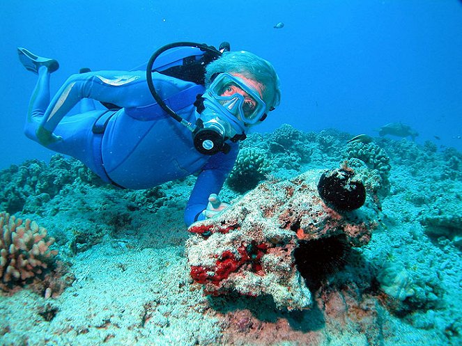 Jean-Michel Cousteau: Podmořské dobrodružství - Z filmu