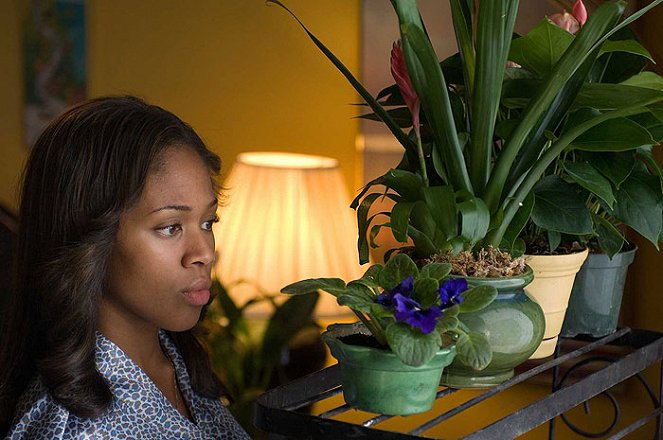 American Violet - Van film - Nicole Beharie