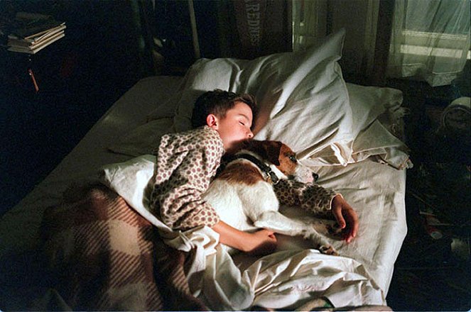 Mein Hund Skip - Filmfotos - Frankie Muniz, Hund Enzo