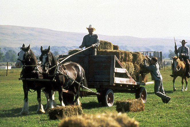 Convict Cowboy - Filmfotók