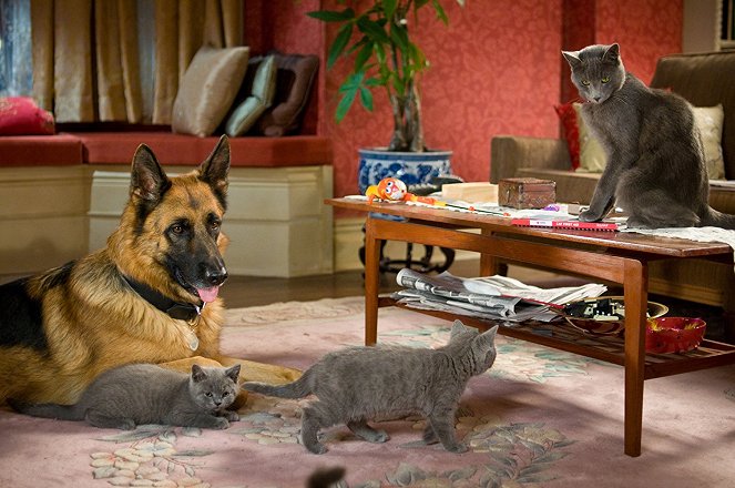 Como perros y gatos 2: La revancha de Kitty Galore - De la película