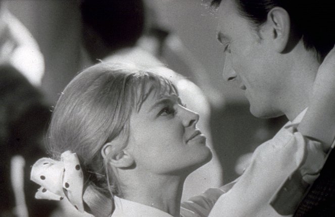 Darling - Filmfotók - Julie Christie, Laurence Harvey