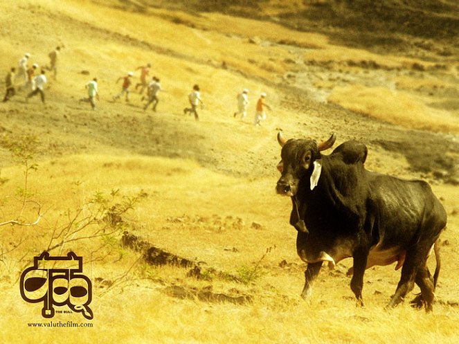 The Wild Bull - Film