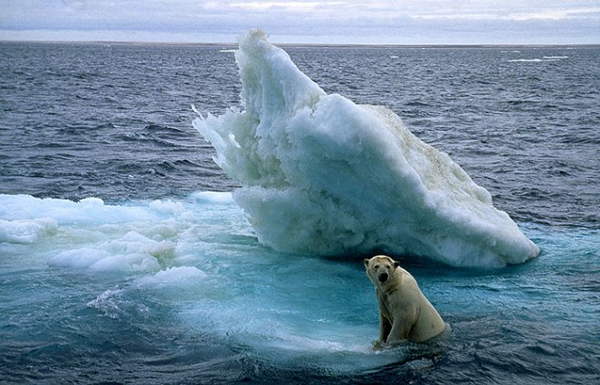 Los reyes del Ártico - De la película