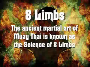 8 Limbs - Z filmu