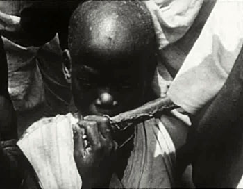 Afrika II. – Od rovníku ke Stolové hoře - Do filme