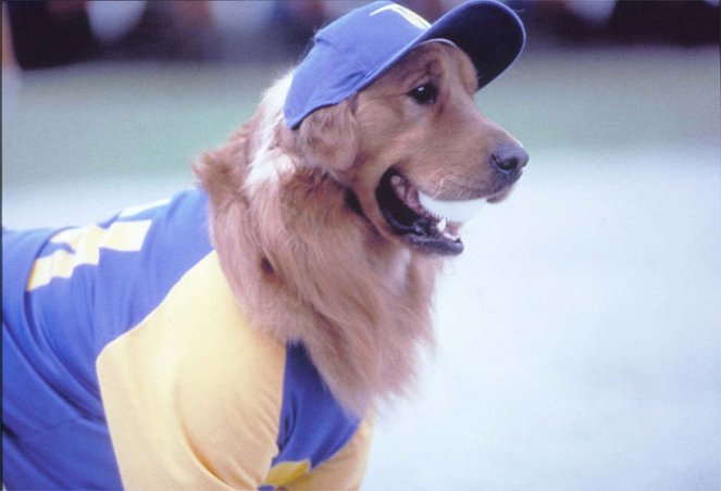 Air Bud: Seventh Inning Fetch - Z filmu