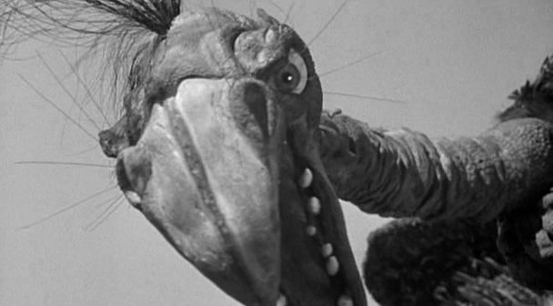 The Giant Claw - Filmfotók
