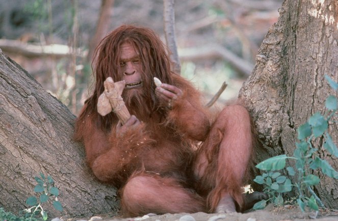 Az utolsó majomember - Filmfotók - Peter Elliott
