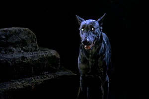 Dracula's Dog - De la película