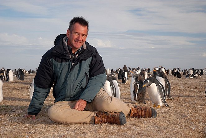 Na Falklandy s Nigelem Marvenem - Z filmu - Nigel Marven