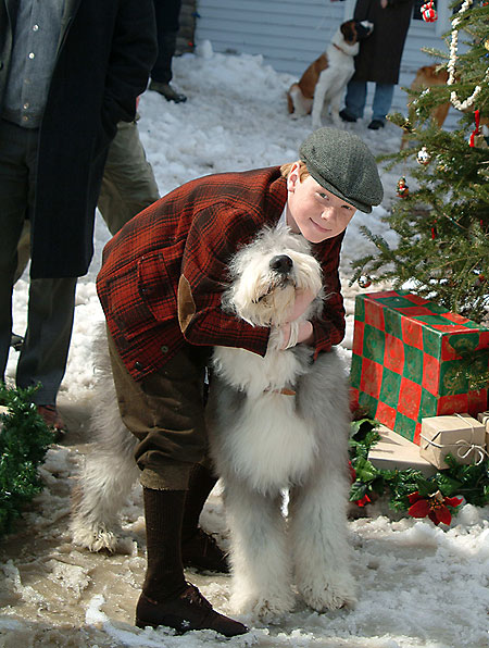 The 12 Dogs of Christmas - Photos - Adam Hicks