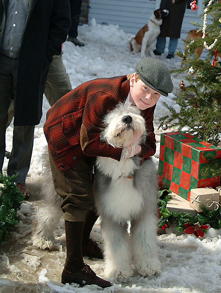 12 chiens pour Noël - Film - Adam Hicks