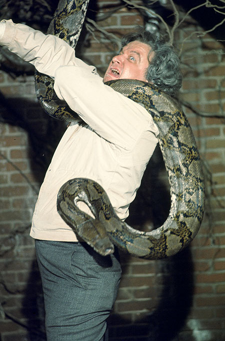 Snake Kobra - Filmfotos - Richard B. Shull