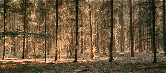 Wolfsbergen - De la película