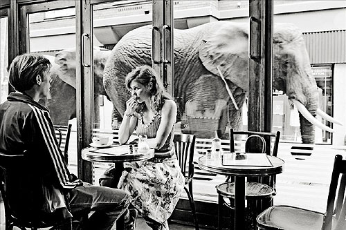 Zakochani widzą słonie - Z filmu - Jakob Cedergren, Tilly Scott Pedersen