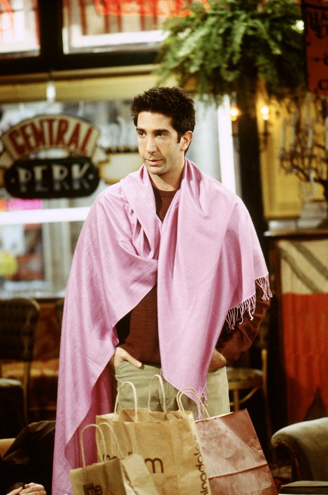 Friends - Season 6 - The One with Rachel's Sister - Photos - David Schwimmer