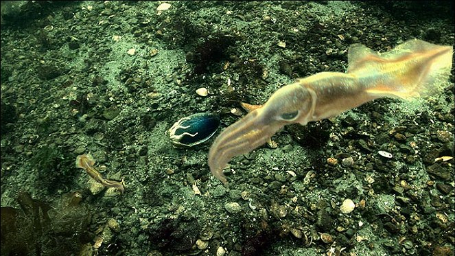 Kraken - A mélység csápjai - Filmfotók