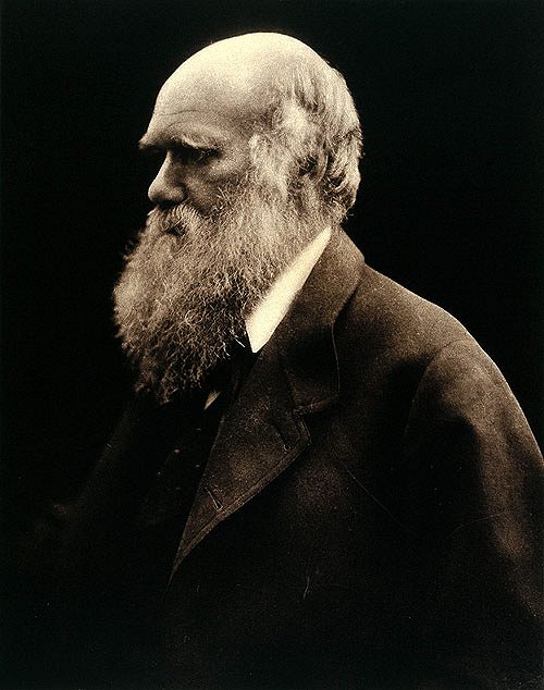 Charles Darwin and the Tree of Life - Photos