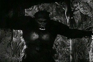 Gorilla - Kuvat elokuvasta